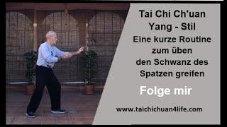 Eine kurze Routine - Tai Chi Ch'uan - Yang-Stil, den Schwanz des Spatzen greifen