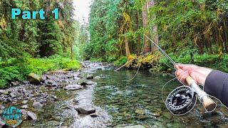 Catching a HUGE fish in a TINY CREEK! (34 Inches - Fly Fishing Washington)