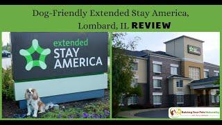 Pet-Friendly Hotels in Chicago Metro | Dog-Friendly Lombard Hotel Extended Stay Review