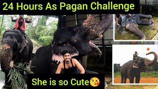 Feeding Elephant For A Day Challenge *Scary* | Elephant JTS | 24 Hours Challenge