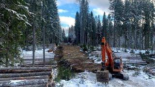 Жизнь в вагоне в лесу. Быт.Рыбалка.