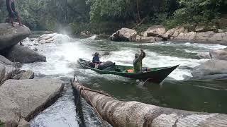 @jantungborneo3226 Menembus Riam Sungai Samba, Menembus Batas Jantung Borneo