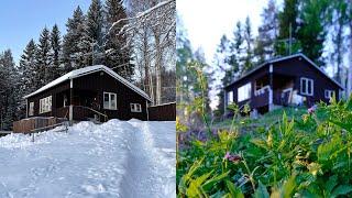 6 MONTHS TIMELAPSE // Couple renovating a neglected lake house cabin / Winter- Summer solstice