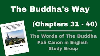 (Pali Canon Study Group) The Buddha's Way - Volume 10 - (Chapter 31-40)