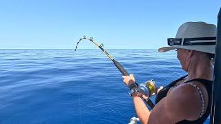Great Barrier Reef Fishing | In the Seaking 790 Profisher