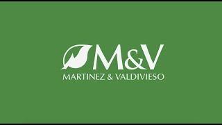 Martinez y Valdiviezo | Corporate video