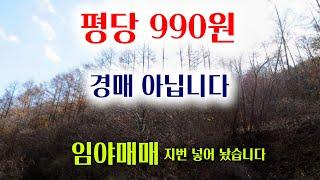 [1277-2][임야매매] 평당 990원에 내 놓은 임야입니다. 경매 매물아닙니다. 지번 넣어 놓았습니다