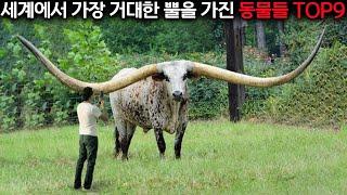 음머ㅓㅓㅓㅓㅓㅓ어ㅓㅓ어ㅓㅓㅓ