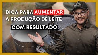 DICA PARA AUMENTAR A PRODUÇÃO DE LEITE | Com resultado