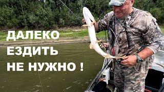 РЫБАЛКА НА СЕВЕРЕ ОМСКОЙ ОБЛАСТИ! ЧЕМ БОГАТ ТВОЙ РОДНОЙ КРАЙ ?