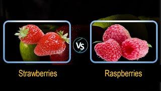 Strawberries vs Raspberries Comparison