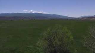 Tybar Rifle Farm & Ranch by Mason & Morse Ranch Company