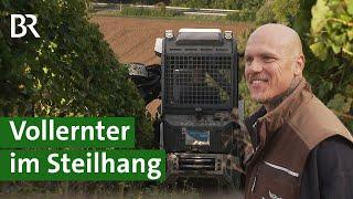 Erntemaschine im Weinberg: Moderne Technik erntet Trauben im Steilhang | Unser Land | BR