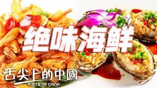 中國哪裏的海鮮更好吃？扇貝 鮑魚 油爆蝦 燒海參......海鮮竟然也有南北差異？| 舌尖上的中國 A Bite of China