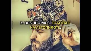 О работе мозга