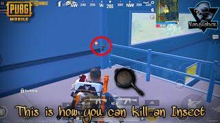 THIS IS HOW YOU CAN KILL AN INSECT | SOLO VS SQUAD GAMEPLAY | PUBG Mobile | VANQUISHER Gaming