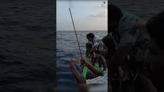 Catching King Fish in the Deep Sea