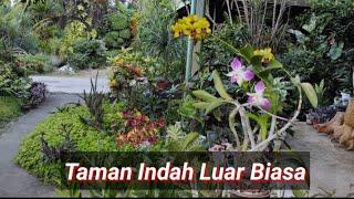 Taman Di Rumah Ini Sungguh Luar Biasa