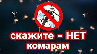 Лучшее средство от комаров, можно даже детям. Защита от мокрецов, москитов и мошек