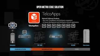 Telco Systems -  Leading the way to IT-aware Networks