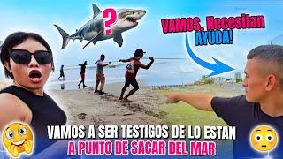 MIRA lo que están a punto de sacar del mar. LOS BICHOS AYUDAN a estos pescadores COLOMBIANOS