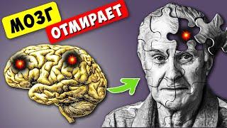 7 Признаков того, что Ваш МОЗГ ОТМИРАЕТ! 90% даже НЕ Догадываются об этом...