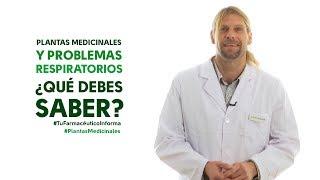 Plantas medicinales y problemas respiratorios. Tu Farmacéutico Informa - #PlantasMedicinales