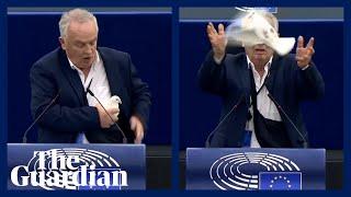 Confusion after MEP releases 'peace dove' from bag in European parliament