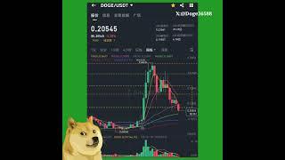 比特币和狗狗币每周技术分析(2025年2月25日) #狗狗币 #DOGE #dogecoin #BTC #Bitcoin