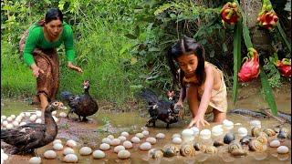 Catch duck & pick egg in rainforest-Cooking duck for lunch-Boiled snail with egg +5food cook and eat