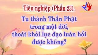 Tu thành Thần Phật trong một đời, thoát khỏi lục đạo luân hồi được không?