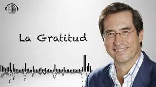 Dar las gracias- El Poder De La Gratitud | Dr. MARIO ALONSO PUIG |