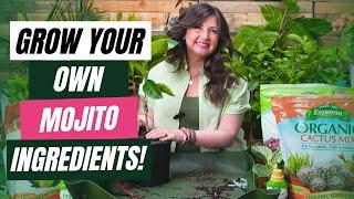 How to Care for Citrus Indoors // Grow Your Own Citrus! ‍🟩// Plant Unboxing