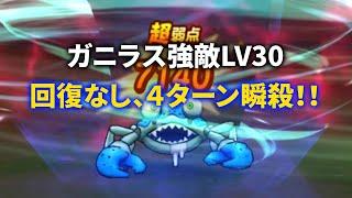 【ドラクエウォーク】ガニラス強敵LV30回復なし４ターンクリア！！ほこら用のあのパーティがブッ刺さる！！おまけで助っ人なしフルオート攻略も【強敵】