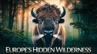 Europe's Wild Animals A Captivating Wildlife Documentary