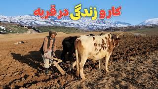 کار و زندگی روستایی در افغانستان - دیدار و قصه با دهقان زحمت‌کش قشلاق || دهکده ما Our Village