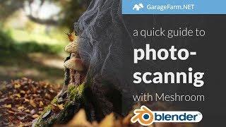 Meshroom and Blender photoscanning tutorial (+ falling leaf animation)