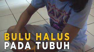 Bulu halus di tubuh, seksi atau mengganggu? | JELANG SIANG