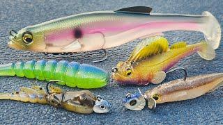 Summer Swimbaits For Bass! (Big And Small)