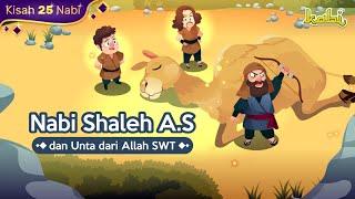 Kisah Nabi Saleh A.S & Unta dari Allah SWT | Kisah Teladan Nabi | Cerita Islami | Cerita Anak Muslim
