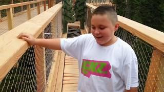 Baumwipfelpfad Bad Wildbad/Schwarzwald - YouTube mit Bubi als Highlight