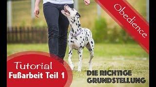 Aufbau der Fußarbeit - Teil 1 / Die Grundstellung / Obedience Training / Tutorial