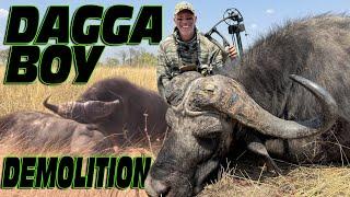 CAPE BUFFALO BATTLE TO THE END! Hoyt RX9 to the ticker and the ending gets crazier by the minute!