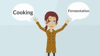 Milk Fermentation - Explained plainly in details