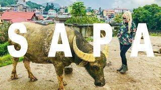 We Survived the Night Train to Sapa | Bac Ha Market Travel Guide