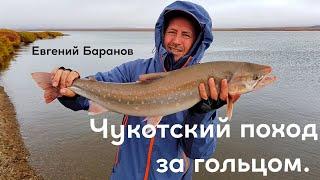 Чукотский поход за гольцом. Евгений Баранов