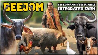 Beejom - Best SUSTAINABLE ORGANIC  INTEGRATED Farm