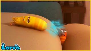 LARVA | STRANDED | CARTOON MOVIE FOR LIFE |THE BEST OF CARTOON | HILARIOUS CARTOON COMPILATION