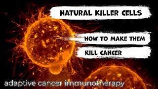 Natural killer cell immunotherapy against cancer. New facts from doctor oncologist