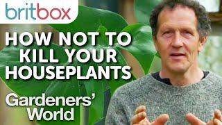 How to Not Kill Your Houseplants | Top Tops | Gardeners' World